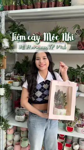 Sắp 8/3 rồi mà mọi người chưa biết mua gì tặng cho phái nữ yêu thương thì tham khảo gợi ý của Lem nha ✨ 📍@TIỆM CÂY MỘC NHI 🌱 - 32 Hermann, TP Vinh #lemdichoi #tpVinh #nghean #senda #plants #flowers #caycanh 