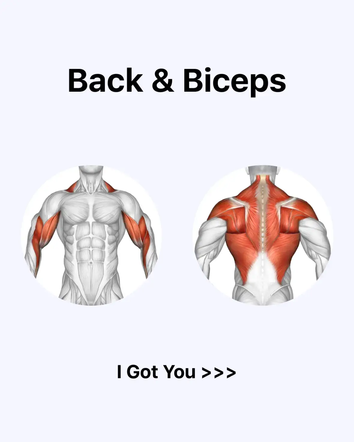 📌 The PERFECT Back & Biceps Day 1️⃣ Chest-Supported Row – 3x 8-10 2️⃣ Close-Grip Lat Pulldown – 3x 10-15 3️⃣ Close-Grip Cable Row – 2x 15-20 4️⃣ Reverse Cable Flye – 3x 15-20 5️⃣ Shrug – 4x 15-20 6️⃣ Spider Curls – 3x 5-10 7️⃣ Machine Preacher Curl – 3x 15-20 Get the full workout program with @lyfta.app #PullDay #BackDay #Biceps #PerfectWorkout #LyftaApp #Strength #Liftoff #jeffnippard #Hevy #sciencebasedlifting
