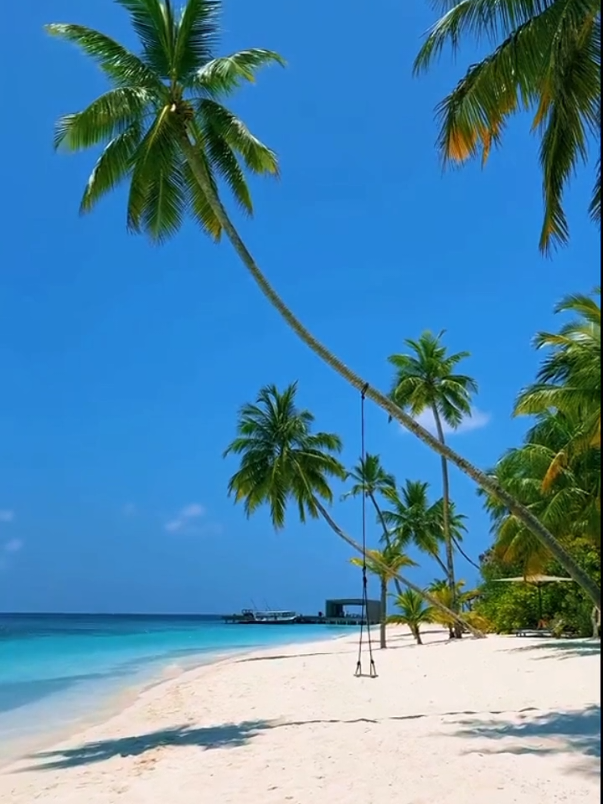 Vlog travel #traveling #Vlog #travel #traveldump #vlogestetik #CapCut #templatecapcut #videopinterest #pinterest #fyp #fypfypfypfypfypfypfypfypfypfypfyp 