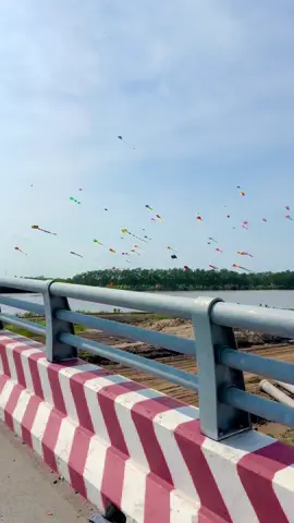 Thả diều quê tôi (Cần Giuộc- Long An) #thảdiều #videoviral #chill 
