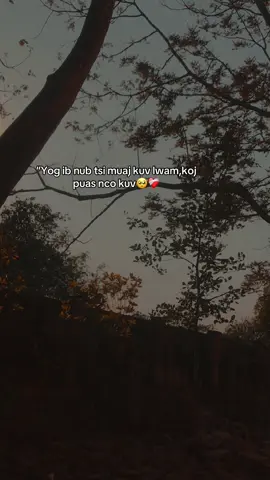 Koj puas nco kuv 🥹❤️‍🩹 #tusiab #nkuajhmoob #xh @Sungthisinh(🌸) 