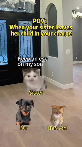 When your sister leaves her child in your charge#catmeme #meme #catsoftiktok #Relationship 
