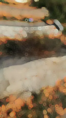 #CapCut  💔😭 ربي يرحمك ياجدي👐🏻#الشعب_الصيني_ماله_حل😂😂 #CapCut #لايك__explore___ 