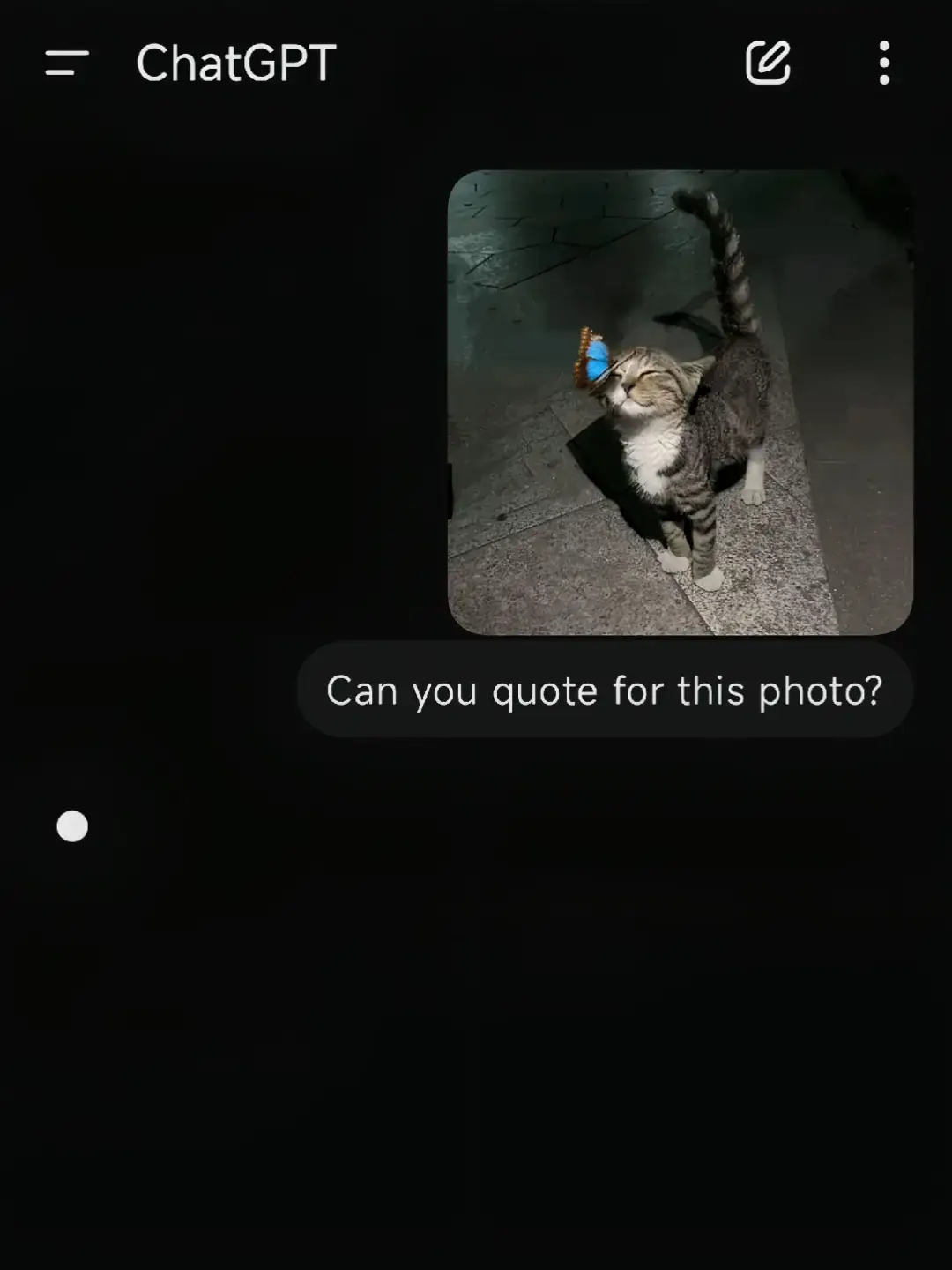 #happycat #happy #happines #foryou #foryoupage #4u #xybca #vrial 