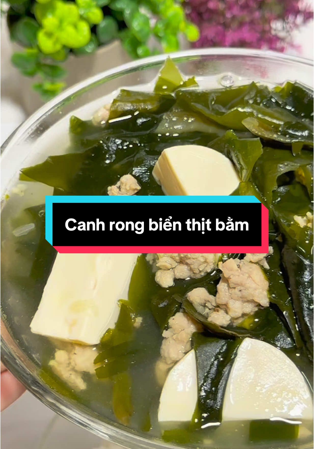 Canh rong biển đậu hũ thịt bằm ngon ngon#cachlai #tieungoc #ancathegioi #rongbien #canhrongbien 