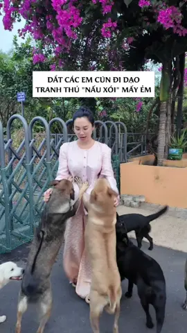 Nhà đông con, ít khi thiếu tiếng vui đùa 🥰🥰 #linhdangfeo #doglovers 