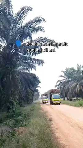 😋 #drivermuda #sawitsumatraindonesia🌴🌴🌴 #sawitjambi 