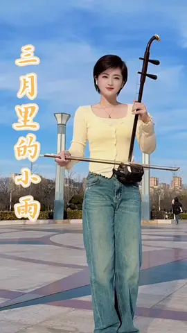 三月里的小雨 - San yue li de xiao yu #三月里的小雨 #老歌回顾 #fyp #chinesemusic #erhu #instrumental #musicmandarin #viralpost