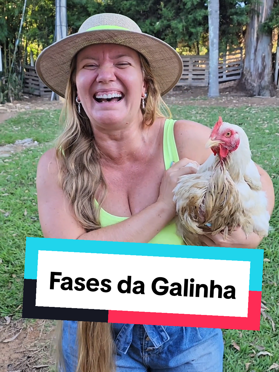 Qual a melhor fase da galinha?! 🐓 . #sitio #roça #vidanocampo #galinhacaipira 