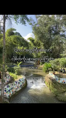 ဟမ်#fyppppppppppppppppppppppp #မြင်ပါများပီးချစ်ကျွမ်းဝင်အောင်လို့🤒🖤 #မဖလုတ်နဲ့ကွာ☹ #trend 