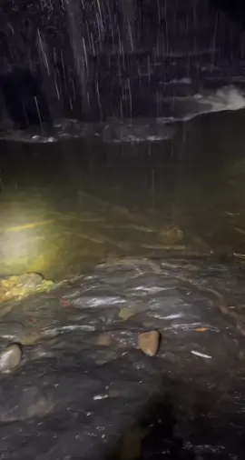 A River in the Amazon Rainforrest full of Electric eels. Just imagine falling in there😭😭😭.                             #eel #dangerous #amazonrainforest #adventure #mustwatch #animal #viral_video #forrest #nature #davidattenborough 