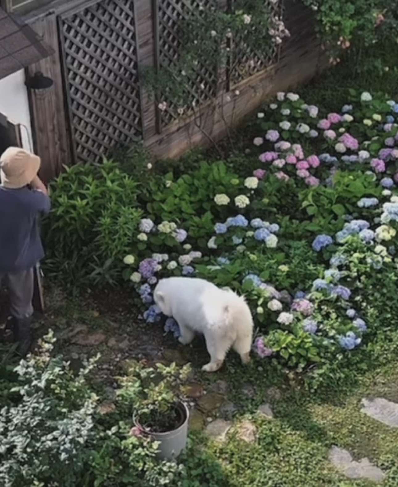 Chữa lành sau một ngày dài 🌷