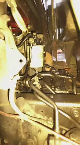 Buang saja habiskan😎😎💀💀💀