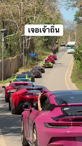 เจอเจ้าถิ่น 😂 #streetkings #supercar #lamborghini #mclaren #ferrari #เชียงใหม่ #pai 