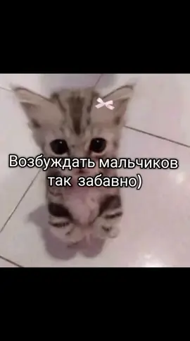 Они такие смешные становятся #пубертат #щп #щитпост #щитпосты