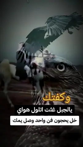 #creatorsearchinsights #الشعب_الصيني_ماله_حل #الترند 