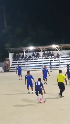 tembok dalam tim
