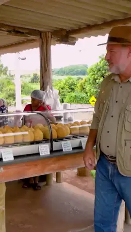 Essas são as famosas coxinhas gigantes vendidas num lugar muito simples mas que faz muito sucesso. Fica na Rua Araraquarense, em Nova Pauliceia, que é um bairro da cidade de Gavião Peixoto. Pertinho de Araraquara- SP. #caçadordebares #betomoreira 
