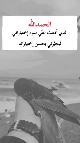 #اكسبلور 