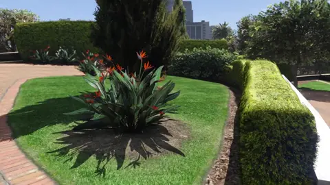 Forgot I had mods installed. 🙃 #gta5 #gtav #gta #grandtheftauto5 #gta5clips #gta5mods #gtavmods #gtamods #grandtheftauto #grandtheftautov #gaming 