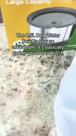 The best water bowl for the doggies 🐶 #dogsoftiktok #dogmom #dogdad #dogparent #dogaccessories #dog #petowner #dogbowl #petsupplies #dogs 