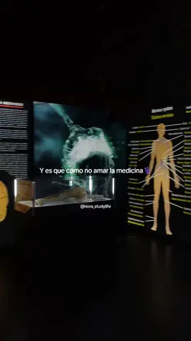 #medicina #cuerpohumano #medicos #fyp #paratiiiiiiiiiiiiiiiiiiiiiiiiiiiiiii 