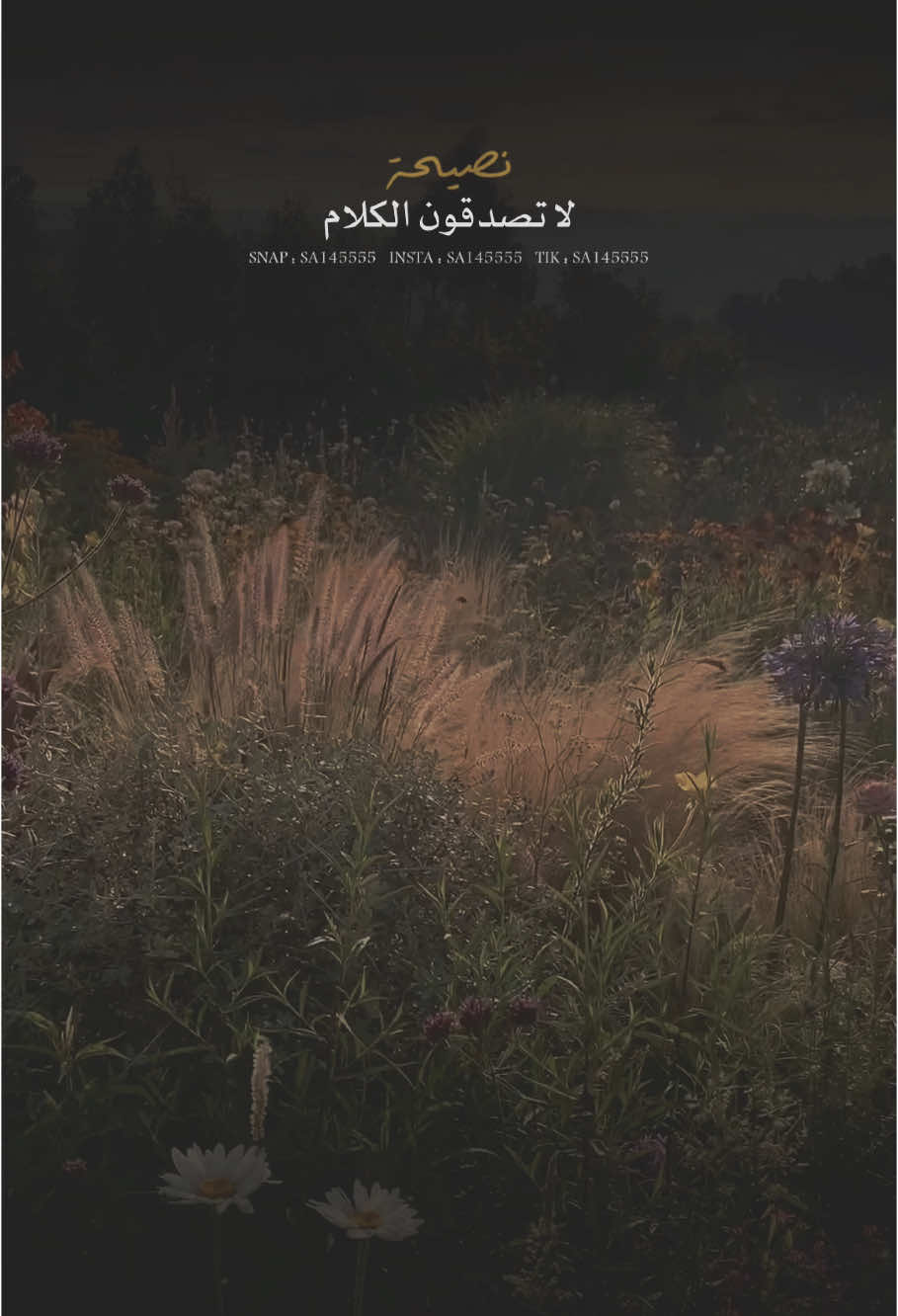 لا تصدقون الكلام ؛ خذوا الحقيقة من أفواه المواقف 👌🏼👌🏼