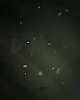#دخيلك_ياعلي 