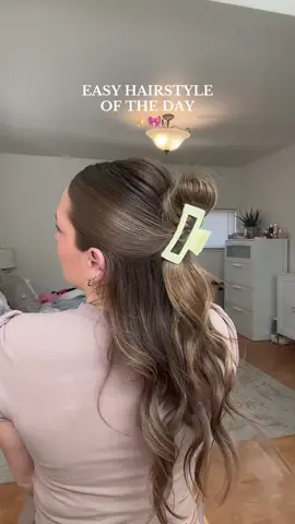 my go to hairstyle!! (the only one i can easily do lol) @Dae Hair  #easyhairstyles #easyhairtutorials #easyhairtutorial #gotohairstyles #hairstyle #hairideas #hairstylistsoftiktok #hairtok #easyhairhack #halfuphairstyles #halfupclawcliphairstyles #clawclip #clawcliphairstyles #clawclip #clawcliphack 