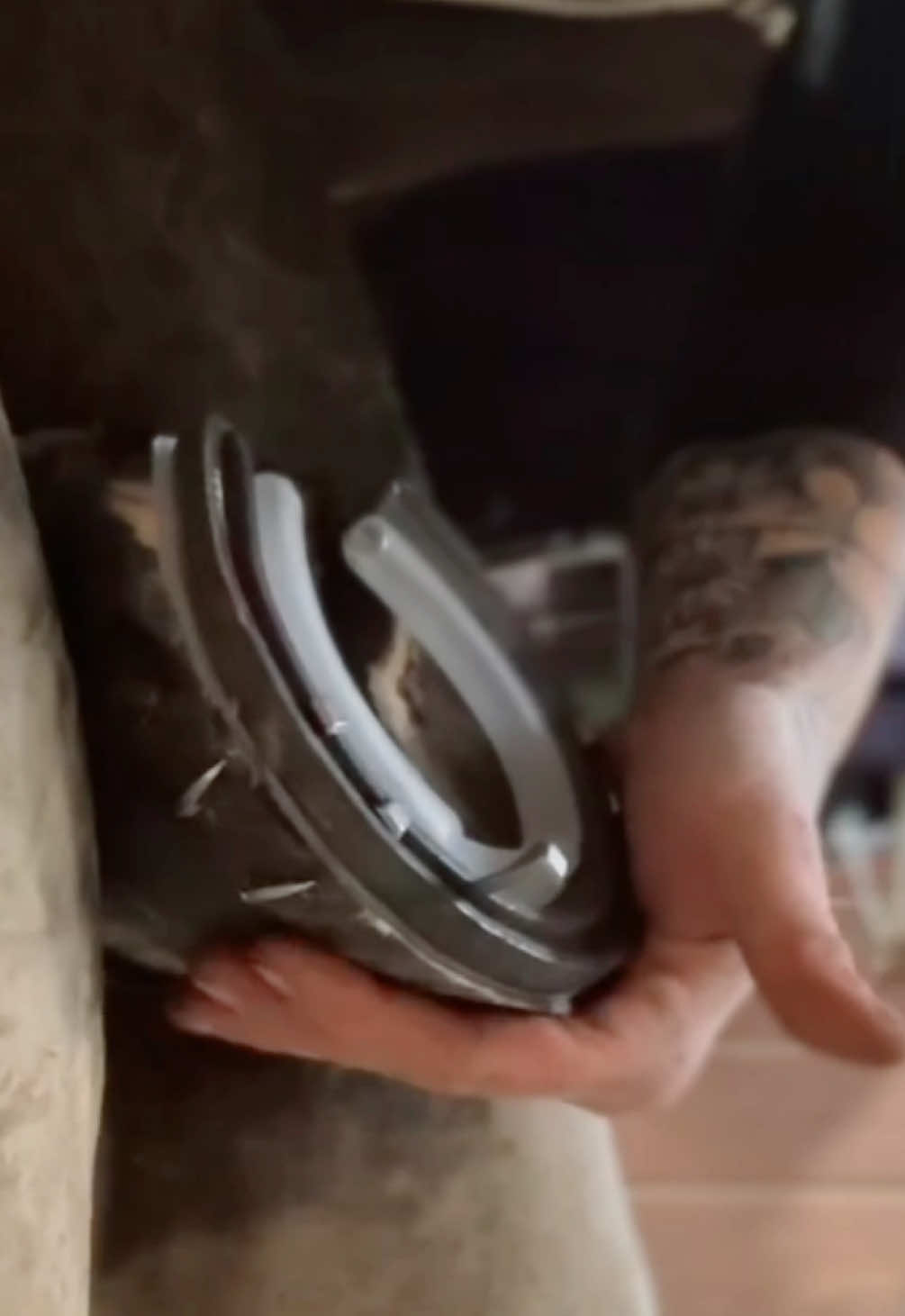 Nailing on the set of shoes I built in my last video. Always a treat to work on this sweet mare 🩷 #farrier#blacksmith#farriersoftiktok 