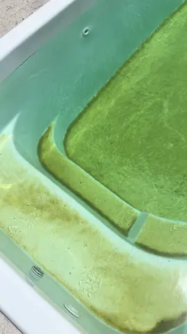 Uma nova mulher após o tratamento da água #fyp #foryoupage 