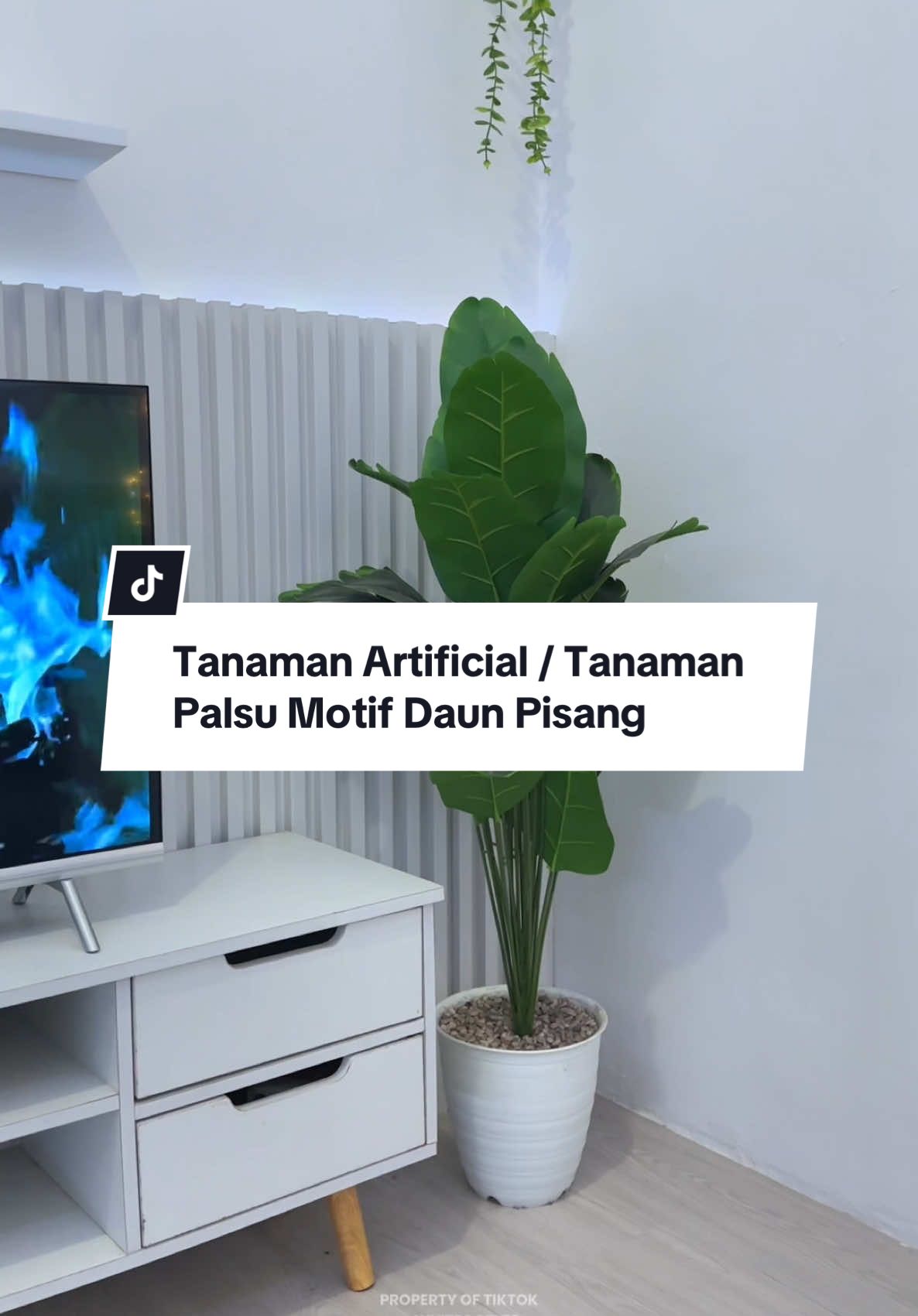 Membalas @White Cozy tanaman artificial / tanaman palsu, punyaku yg motif daun pisang ya #tanamanpalsu #tanamanhias #tanamanartificial #tanamanunik #daunpisang #fypviralシ 