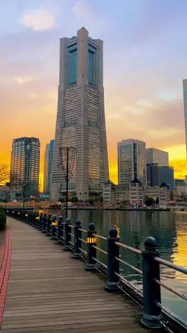 Yokohama Minatomirai (Kanagawa) / 横浜みなとみらい Beautiful night view of Yokohama Minato Mirai🌃🤩✨ Please share 🥰🙏 Please follow → @japan_walker_ #japan #japantravel #japantrip #yokohama #minatomirai #kanagawa #神奈川 #みなとみらい #横浜 #traveljapan #japannightview 