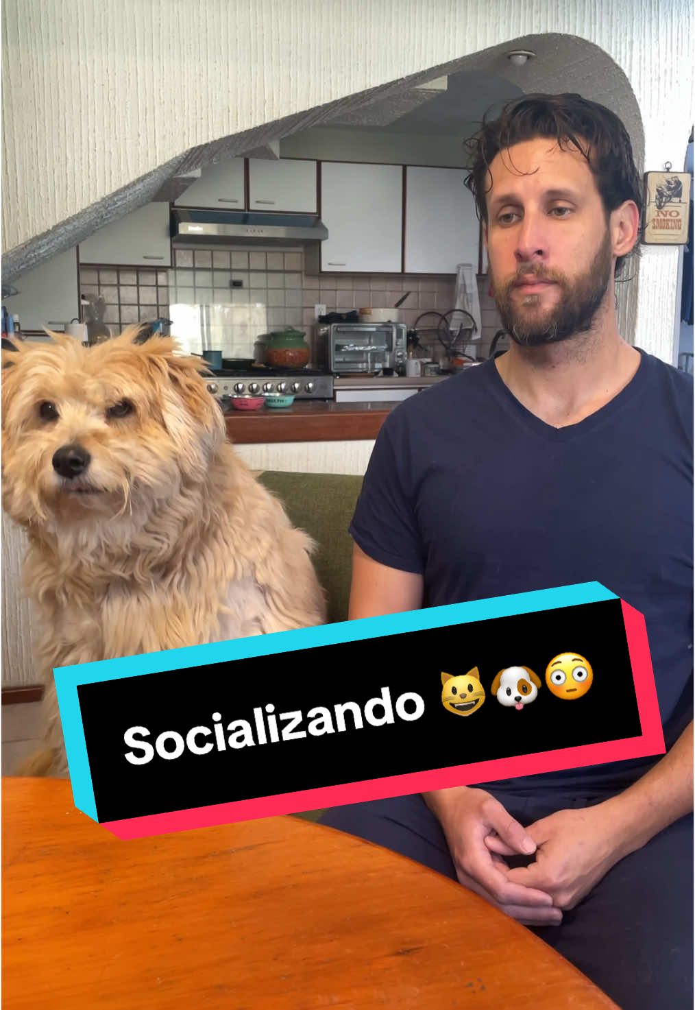 Socializando 😺🐶😳     #lipsync #gatos #perros #mascotas #comedia  