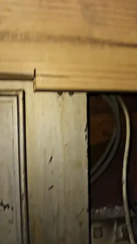 ⚡️⚡️DMC Electric ⚡️⚡️ A work of art, made in America  #electrician #education #nationalelectricalcode #electricpanel  #electricallife #electricaltips #electric #electricaltechnician  #sparkylife #Sparky #goodvibes #Lifestyle #dayinmylife #videooftheday #makeithappen #feelitreelit #commercialelectrician 