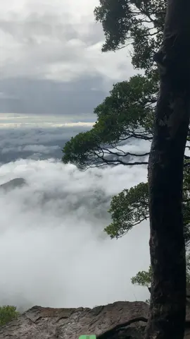 waktu pertama kali kesini jalan yang kami tempuh masih sangat mudah untuk di daki,seiringnya waktu berjalan karna banyak pengunjung membuat jalan semakin susah untuk di daki..banyak perubahan disetiap trek nya,yang terpenting itu proses pendakian bukan soal puncak..puncak itu tujuan bukan hanya bonus. Senang banget krna bisa kesini lagi. #foryoupage #trending #fyppppppppppppppppppppppp #pendakikalbar #rekomendasiwisata #pendakicantik #pendakicantik #tiongkandang #kalimantanbarat 