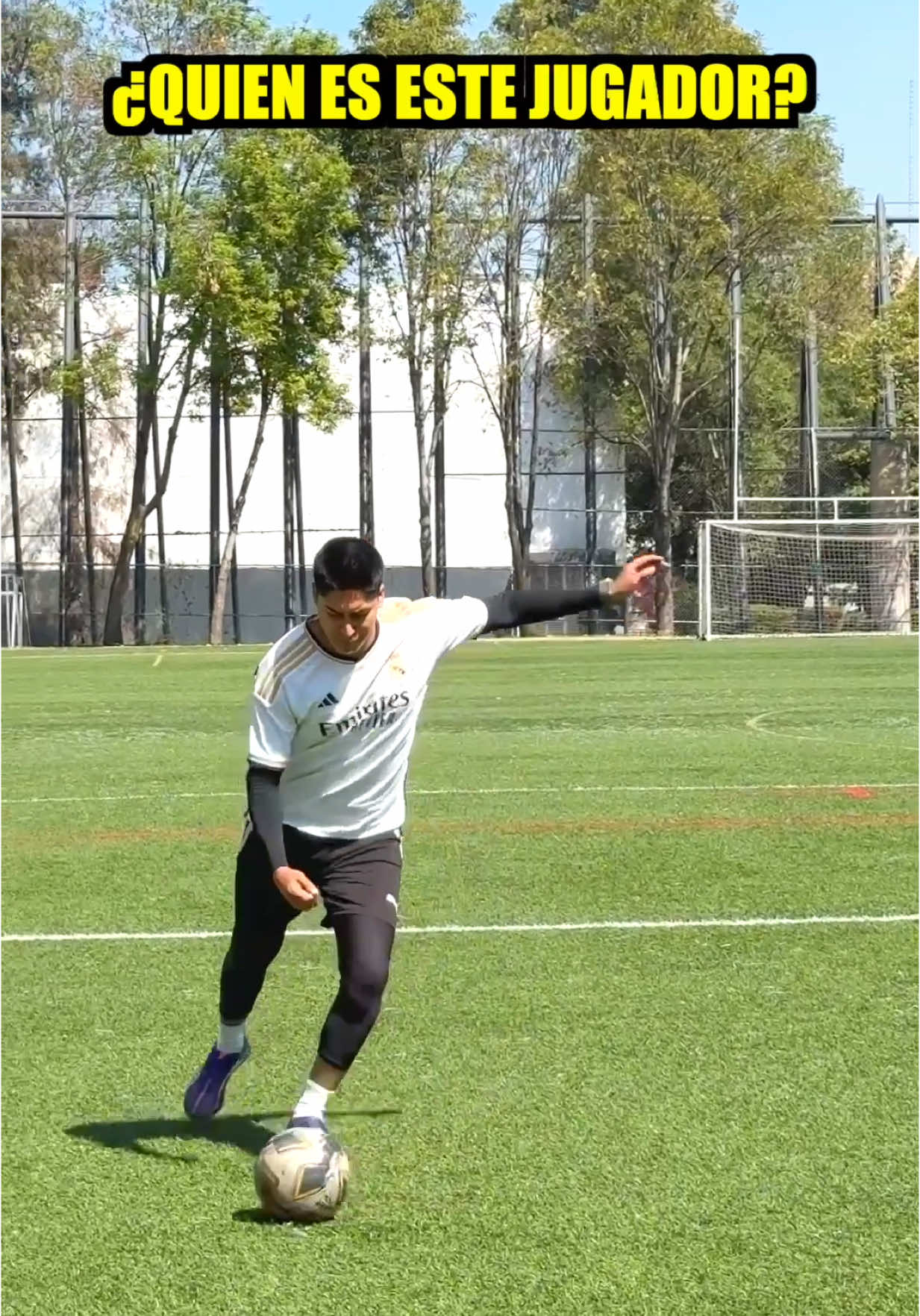 ¿Quién es este jugador? ⚽️🥅🇩🇪 #TikTokDeportes #soccertiktok #futbol #golazo 