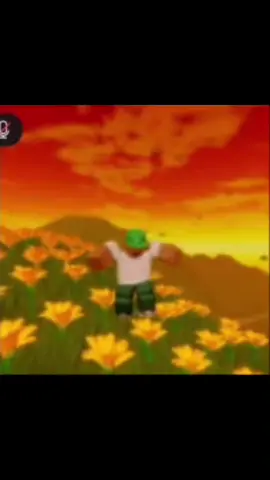 Idk🫨🫨🫨 #roblox #music #robloxfyp #tylerthecreator #songs #fyp #lowquality #viralvideo #lol #funny #tylerthecreatormedia #tylerthecreatorclips #seeyouagain 