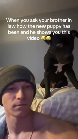 The draw back is what took me out 😂 #fyp #puppylife #funny 
