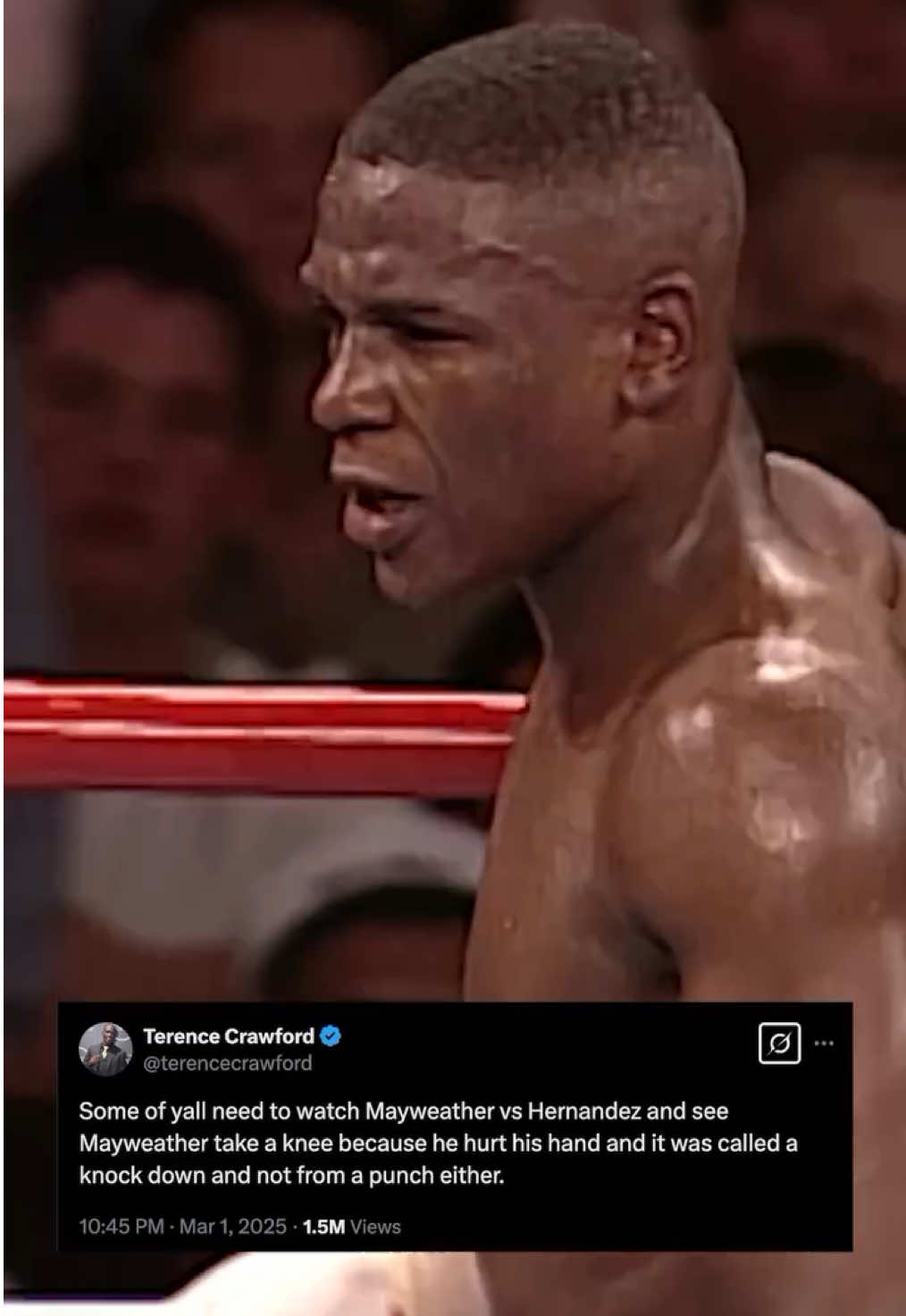 Thoughts? 🫣 #toprank #trboxing #boxing #sports 