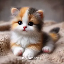 ゆかいなまきば #AI生成　#歌うネコ　#gatocantando #แมวร้องเพลง #गातीहुईबिल्ली #kuimbapaka #قطة تغني  #kucingbernyanyi #노래하는고양이