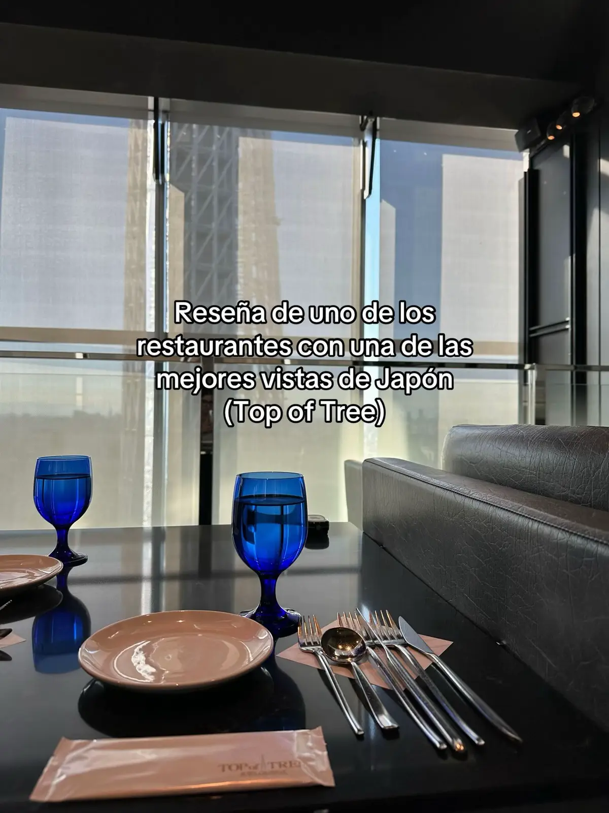El restaurante está ubicado en Tokio Solamachi,  brindando una experiencia increíble al tener una de las mejores vistas de la ciudad. 100% volvería❤️‍🔥 #SkyLounge #TopOfTree #Japan #Japanfood #Food #Restaurant #honeymoon #travel #traveltiktok #traveltips #japon 