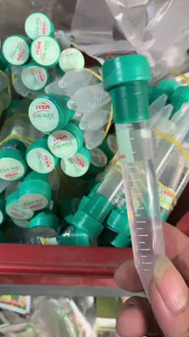 kích keiki duy xanh dùng cho phong lan#vattunongnghiep #sinhvatcanh #caycanh #phonglan 