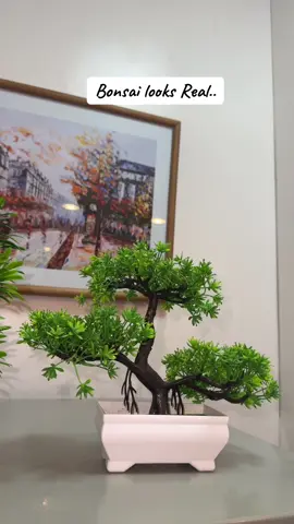 #plants #bonsai #fakeplants #fakeplantsdecor #fakeplantslooksreal #homedecor #aesthetic #indoorplants #fyppppppppppppppppppppppp #fypシ゚ #foryoupage #fypシ゚viral 