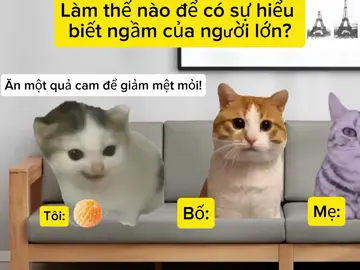 #CapCut #catmeme #meme #douyin #cat 