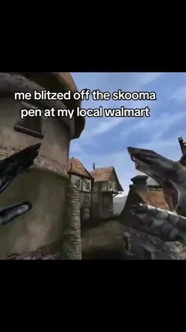 me absolutely blitzed off the skooma at my local Walmart #skooma  #skoomaaddict  #morrowind #morrowindmeme  #morrowindtiktok  #elderscrollsmeme  #elderscrollsmemes 