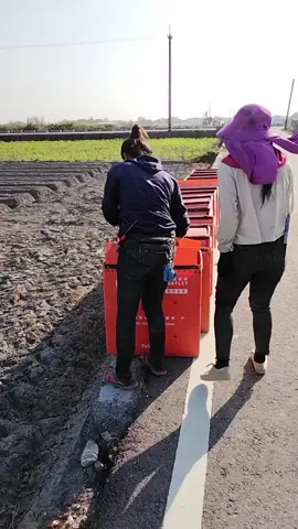 #คนไทยทํางานใต้หวัน🇹🇼🇹🇭 #สาวจางฮั๋ว #เลือดนักสู้❤️✌🏻 