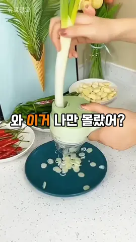 와 이거 나만 몰랐어? #꿀템 #살림템 #생활용품 #무선야채썰기 #야채다지기