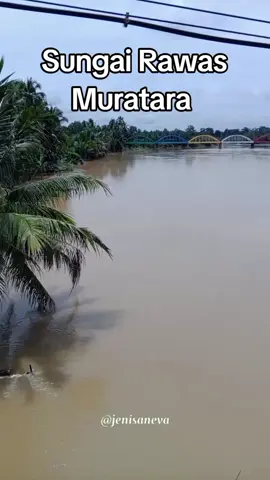 Kondisi debit air sungai Rawas kabupaten Musi Rawas Utara,jam 13.30 Tanggal.03-03-2025 #fypシ゚viral #sungairawas #banjir #banjirmuratara #muratara 