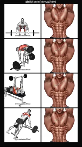 ✅ How to Build a Wider Back ① Deadlift  ② Pendrey Row  ③ Pullover  ④ Incline Row  3 sets 12-15 reps 